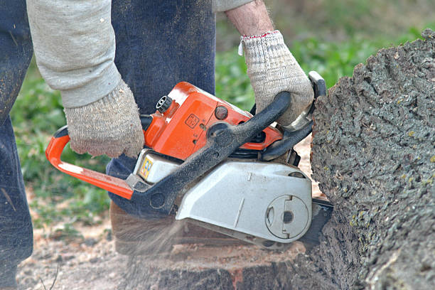 Best Aeration Services  in Alvarado, TX